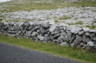 Stone walls and karst pavements and topography of the Burren approx 5km south of Ballyvaughan Co Clare Ireland. Exposures of the Dinantian Burren Limestone Formation are composed of shallow water carbonates. Note the clints (limestone blocks) and grikes (joints formed by Variscan folding (Coller, 1984) and fracturing) enlarged by Pleistocene disolution (Williams, 1966).